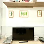 Rosaleda Centro Apartamento