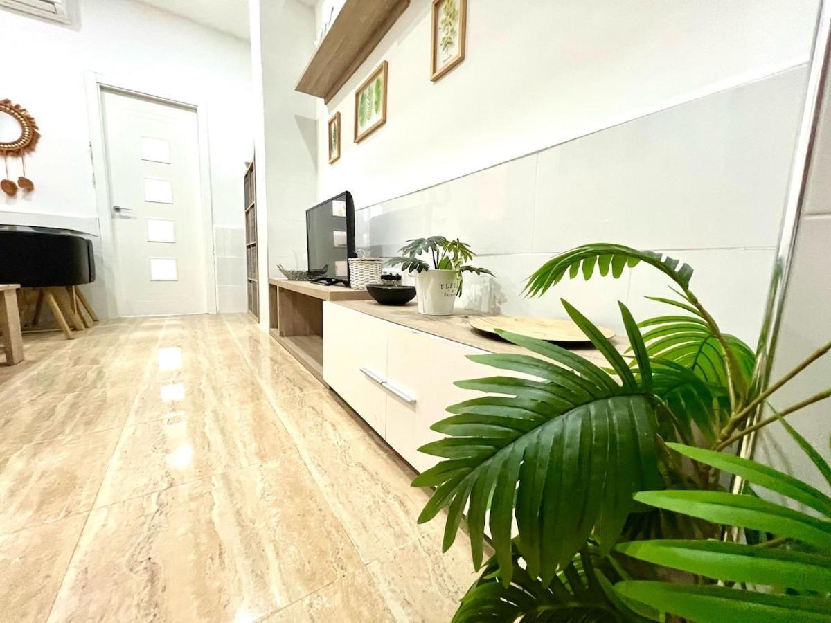 Apartment Rosaleda Centro