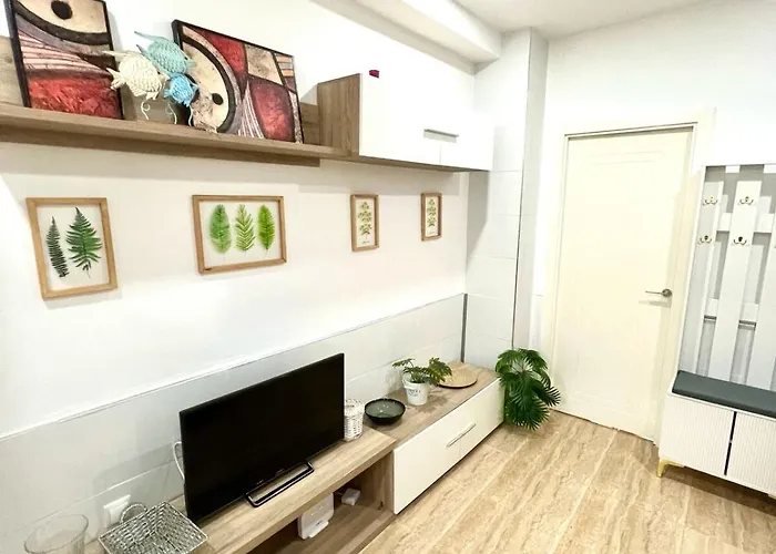 Rosaleda Centro Apartamento